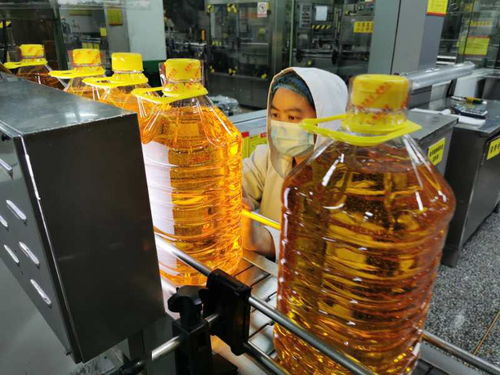 湖北襄州 9億元支持企業(yè)達(dá)產(chǎn)滿產(chǎn) 復(fù)工復(fù)產(chǎn)