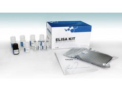 羥脯氨酸 hyp elisa試劑盒
