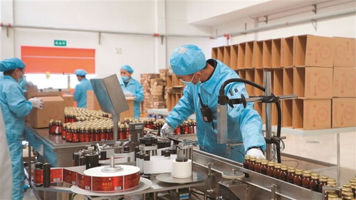 岢嵐 用 千萬(wàn)工程 經(jīng)驗(yàn)繪寫和美