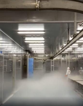 探廠國內(nèi)寵物食品凍干廠 國產(chǎn)凍干品質(zhì)如何，L-羥脯氨酸生產(chǎn)的關(guān)鍵作用